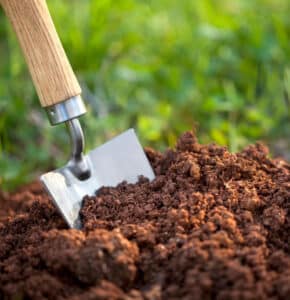 sustrato para plantas